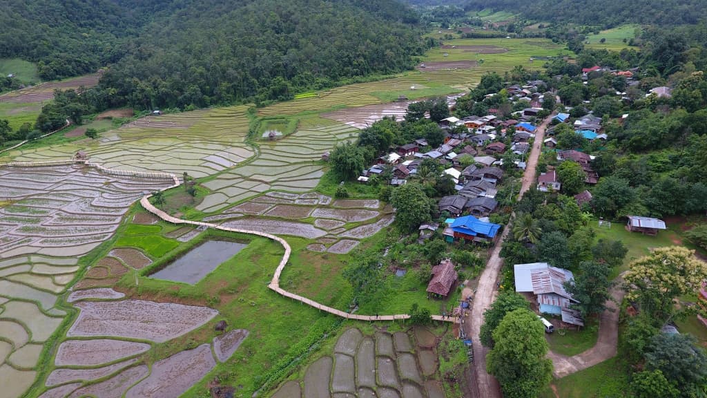 ชุมชน บ้านแพมบก
