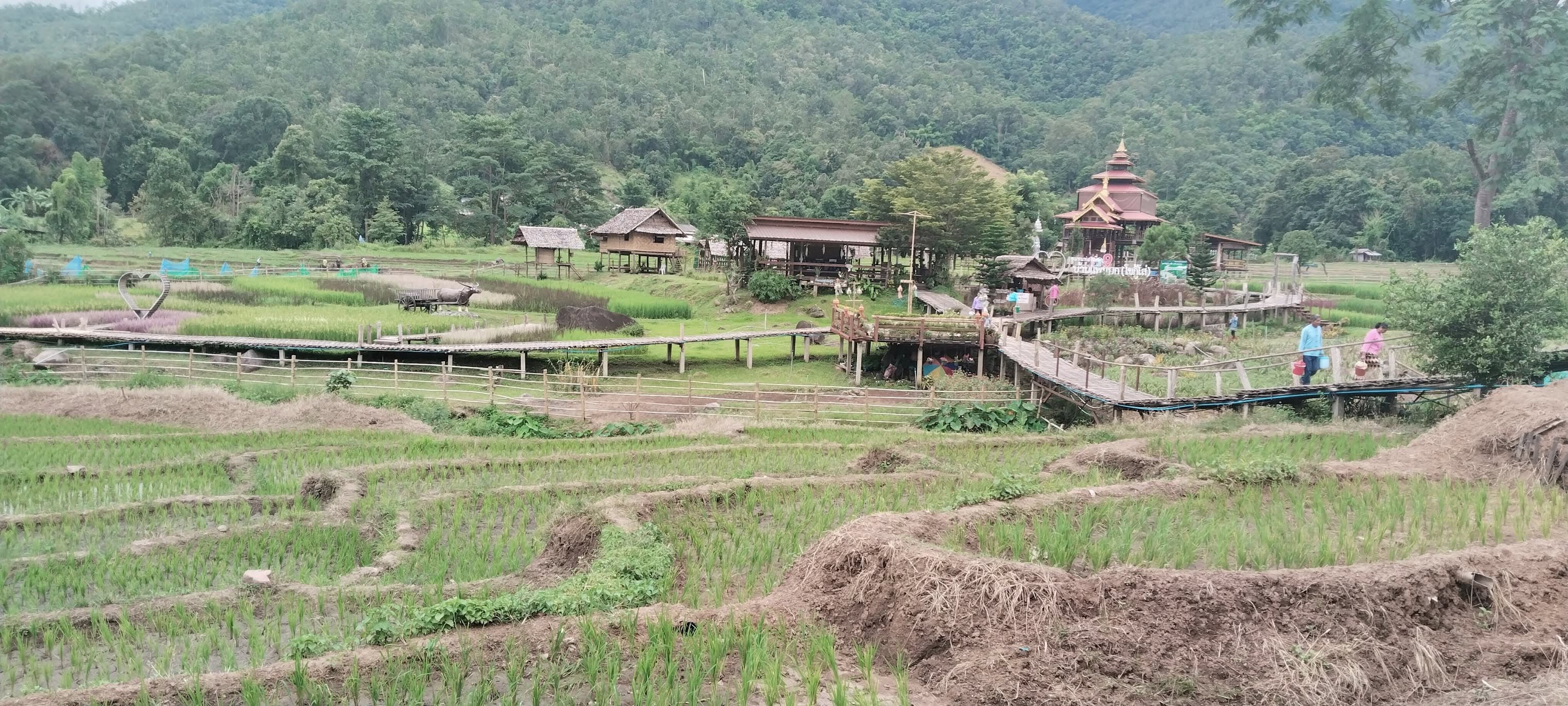 ชุมชนบ้านแพมบก