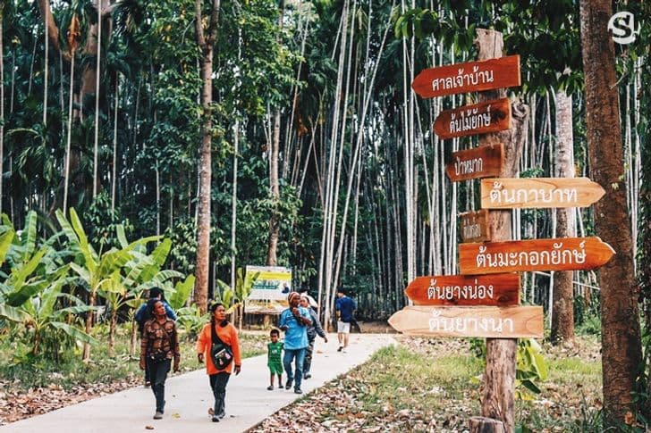 ชุมชนบ้านสะนำ